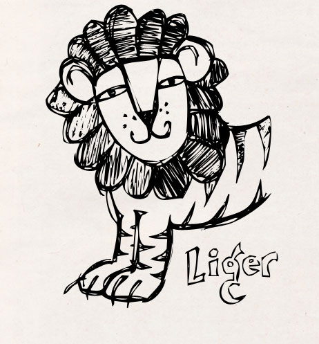 Ligers Are Real