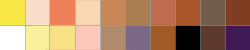 Skin Colour Palette in Photoshop